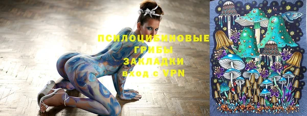 apvp Армянск