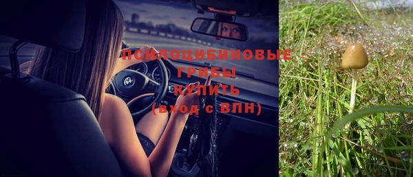 тгк Арсеньев