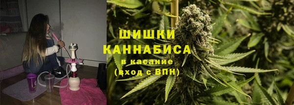 гашик Алзамай