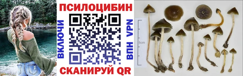 Псилоцибиновые грибы GOLDEN TEACHER  сколько стоит  ОМГ ОМГ как войти  Переславль-Залесский 